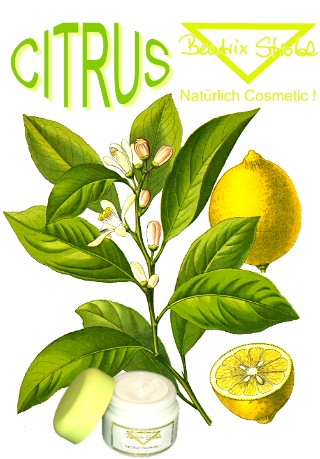 CITRUS LIMETTE Verkaufsgrößen-SET